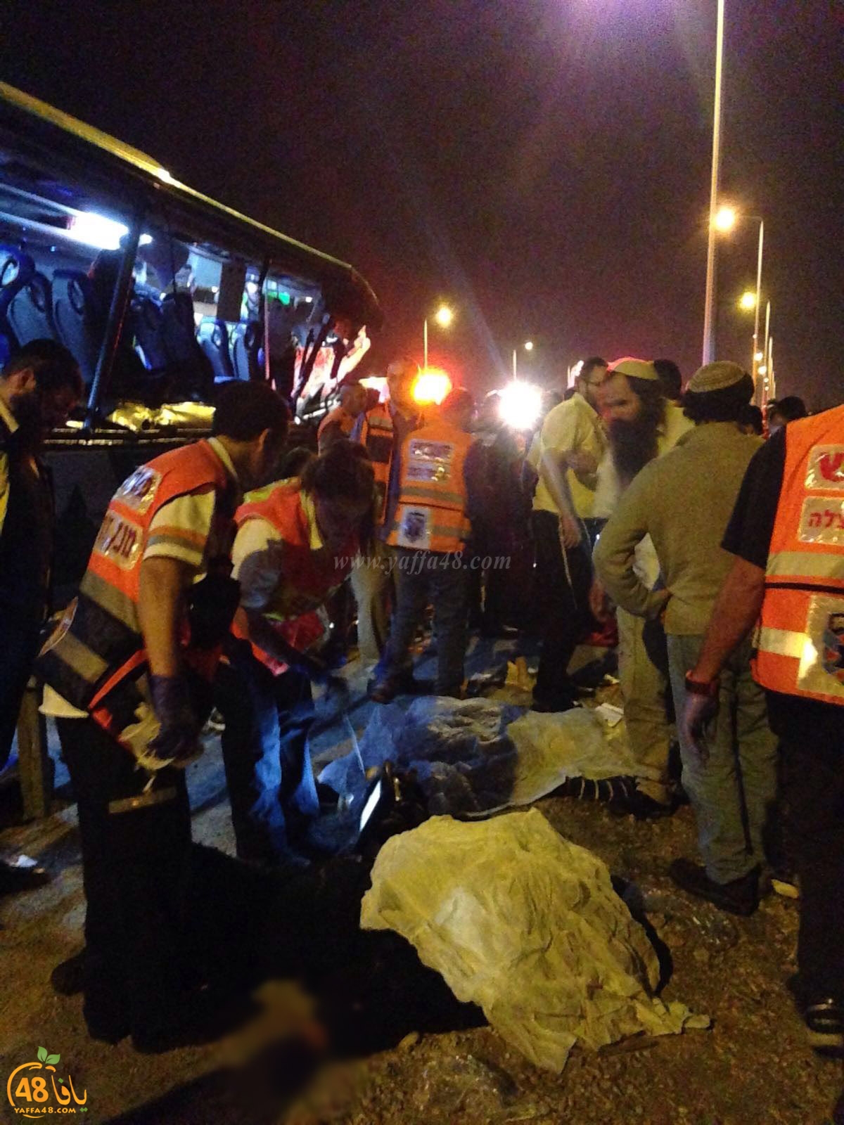 Accjs latroona (10).jpg